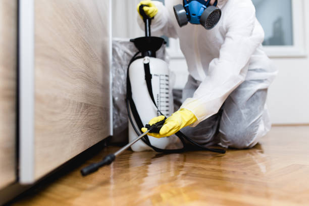 Professional Pest Control in Union Springs, NY