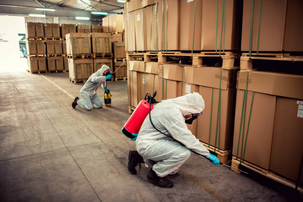 Best Termite Control Services  in Union Springs, NY
