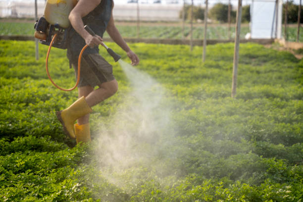 Best Best Pest Control Companies  in Union Springs, NY