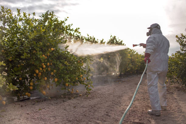 Best Bed Bug Extermination  in Union Springs, NY