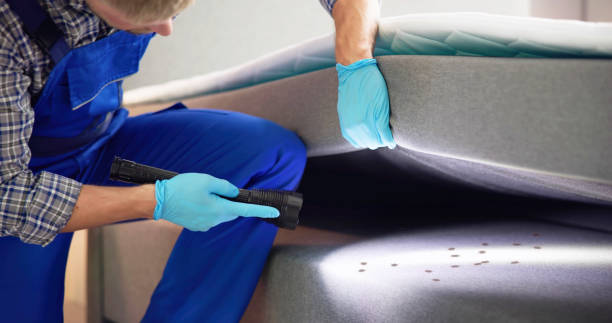 Best Best Pest Control Companies  in Union Springs, NY