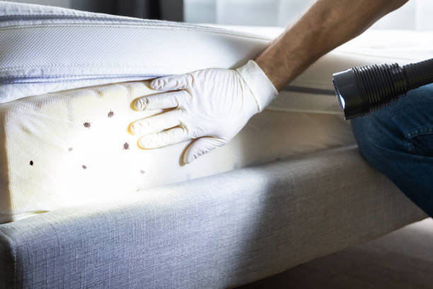Best Emergency Pest Control  in Union Springs, NY
