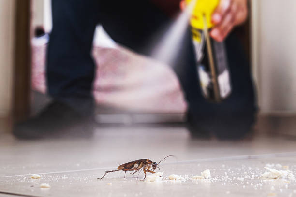 Best Pest Inspection Near Me  in Union Springs, NY