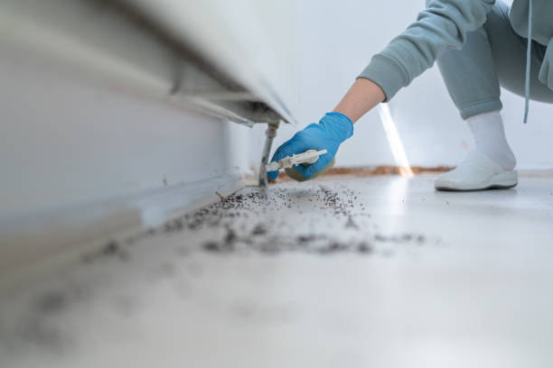 Best Mosquito Control Services  in Union Springs, NY